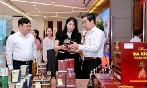 Vĩnh Phúc nỗ lực đưa du lịch thành ngành kinh tế mũi nhọn