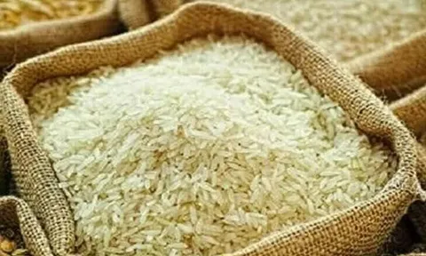 Xuất khẩu gạo Việt Nam mở rộng thị phần tại Canada