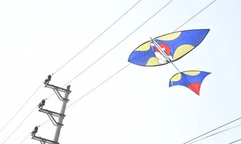 Gỡ diều vướng vào dây điện cao thế, bé trai bị điện giật bỏng nặng