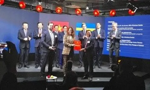 Bình Định trao Giấy chứng nhận đăng ký đầu tư dự án 1 tỷ USD cho Công ty Syre