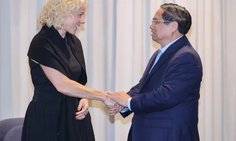 Gặp Thủ tướng, tập đoàn Thụy Điển muốn giúp Việt Nam thành trung tâm toàn cầu đầu tiên trong 1 lĩnh vực