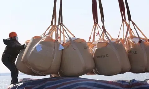 Một quốc gia bất ngờ dừng sản xuất phân bón do ảnh hưởng từ Israel: Phụ thuộc đến 60% khí đốt, nguồn cung năng lượng bị đe dọa