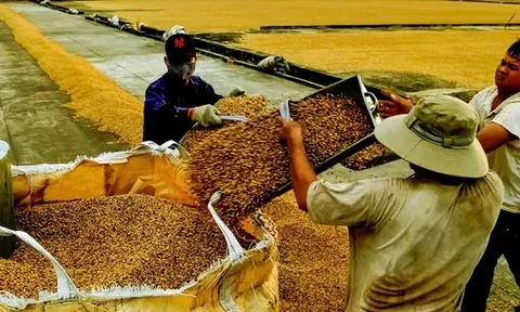Nỗi lo siêu thị, chợ mạng