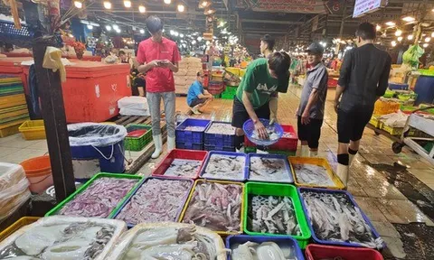 Bộ Tài chính: Có hộ kinh doanh hải sản tươi sống đạt doanh thu gần 560 tỉ đồng