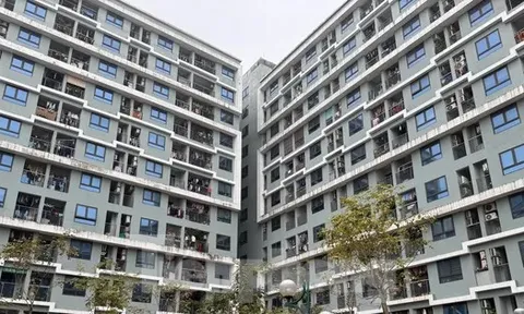 Doanh nghiệp Nhà nước nên hướng vào làm nhà ở giá rẻ