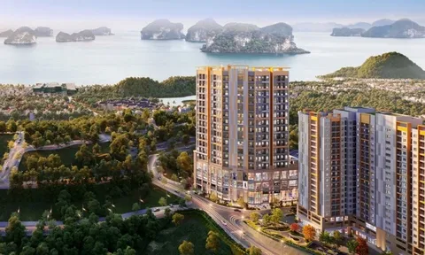 Sở hữu căn hộ giữa trung tâm Hạ Long chỉ từ 750 triệu