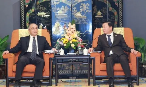 Phó Thủ tướng Trần Hồng Hà tiếp lãnh đạo 2 doanh nghiệp năng lượng, xây dựng giao thông lớn của Trung Quốc