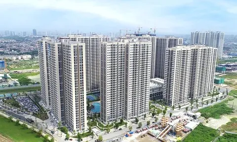 Chung cư quay đầu tăng giá, đất nền chững lại sau tăng 'nóng'