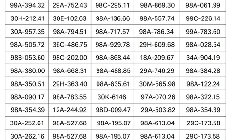 90 chủ xe có biển số sau nhanh chóng nộp phạt nguội theo Nghị định 168