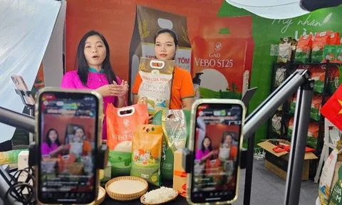 Bán hàng trên sàn online nộp thuế thế nào từ ngày 1-7?