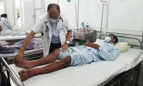 Sốt xuất huyết Dengue: Nguy kịch vì chủ quan
