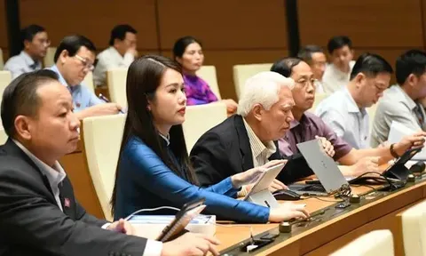 Quốc hội biểu quyết các luật lớn, tiến hành công tác nhân sự trọng yếu