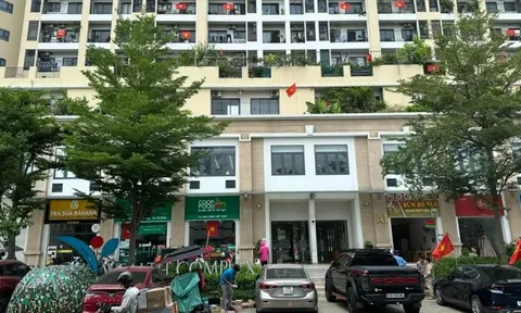 TPHCM: Hướng xử lý tranh chấp giữa chủ đầu tư và cư dân tại chung cư
