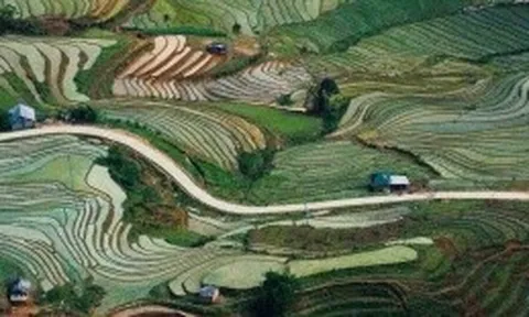 Sửa đổi tiêu chí phân bổ vốn Chương trình phát triển kinh tế - xã hội vùng đồng bào dân tộc thiểu số và miền núi