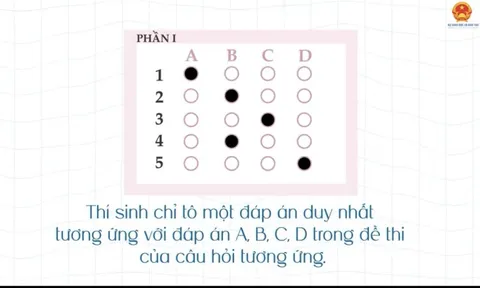 Bộ GD&ĐT hướng dẫn trả lời trắc nghiệm, tránh lỗi sai mất điểm thi tốt nghiệp THPT