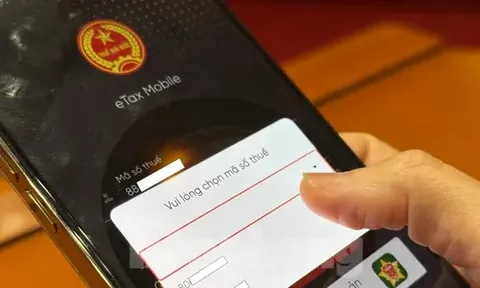 Sắp hết cảnh một người tự dưng có 2 mã số thuế