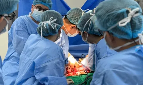 Hồi sinh sự sống từ 'món quà cuối cùng' của người xa lạ