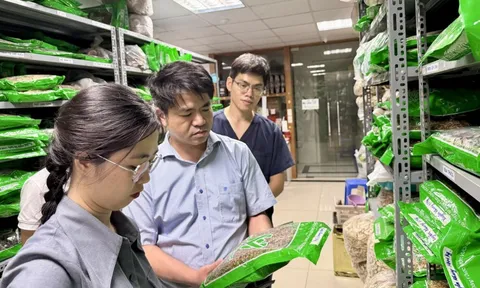 Hàng giả chủ yếu là nhóm thực phẩm chức năng, thuốc đông y và mỹ phẩm