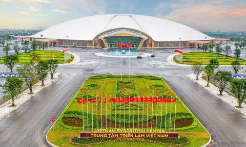 Sau 300 ngày thi công, nâng thành công 24.000 tấn thép lên cao 56m, Vingroup giúp Việt Nam tạo kỷ lục thế giới mới