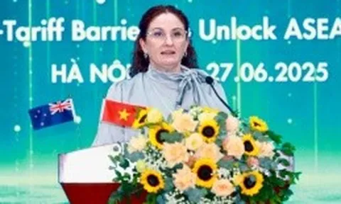 Đại sứ New Zealand: Vẫn còn nhiều việc cần làm để tháo gỡ rào cản phi thuế quan