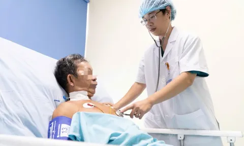 Người đàn ông sốc phản vệ nguy kịch vì bị đàn ong vò vẽ đốt