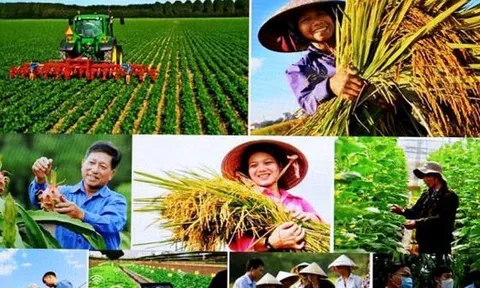 Tin vui cho hàng triệu người dân Việt Nam: Kéo dài thời hạn miễn thuế sử dụng đất nông nghiệp đến hết ngày 31/12/2030