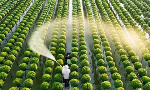 Doanh nghiệp Brazil – Nhật muốn đưa Việt Nam thành “cứ điểm” phát triển nông nghiệp công nghệ cao ở châu Á