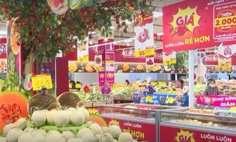 5 tháng đầu năm, Việt Nam chi gần 1 tỷ USD nhập khẩu trái cây