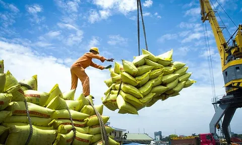 Giá gạo xuất khẩu nửa đầu năm giảm