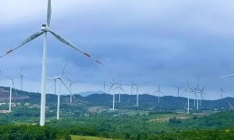Dự án điện gió khó với yêu cầu có quy hoạch đất 1/2.000 được phê duyệt