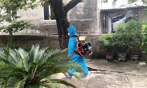 Huế: Ghi nhận 12 ca mắc liên cầu lợn trong gần hai tuần, một người tử vong