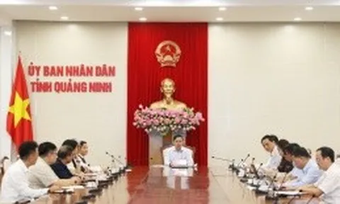 Quảng Ninh: Nhà đầu tư muốn rót 5 tỷ USD xây dựng dự án năng lượng xanh GH2