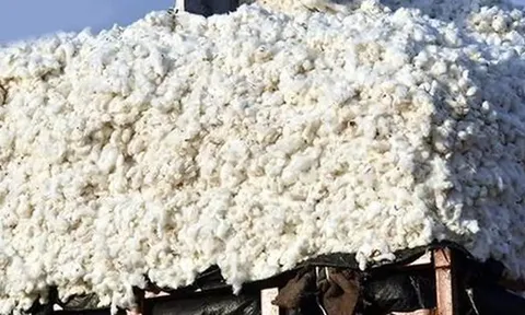 Hàng trăm nghìn tấn 'vàng trắng' từ Mỹ ồ ạt tràn về Việt Nam với giá siêu rẻ: nhập khẩu tăng hơn 100%, nước ta tiêu thụ 1,5 triệu tấn/năm
