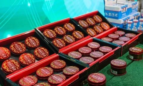 Đột kích 4 cửa hàng, bắt giữ giám đốc cầm đầu đường dây bán dược phẩm và mỹ phẩm giả, tịch thu 40.000 sản phẩm trị giá hơn 3 tỷ đồng