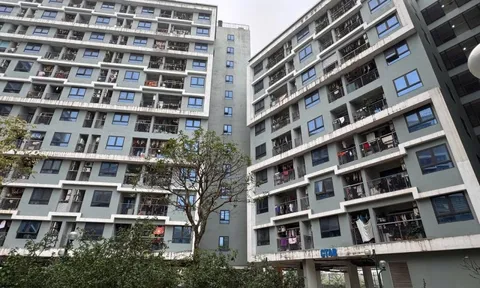 Những điểm nghẽn khiến đề án "1 triệu căn nhà ở xã hội" mới chỉ đạt 8% mục tiêu sau 4 năm thực hiện