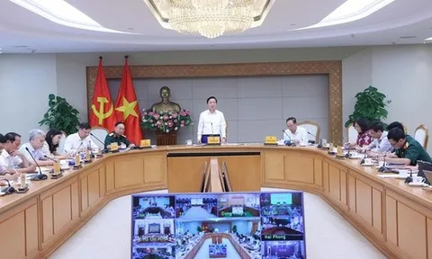 Buôn bán hải sản khai thác bất hợp pháp, doanh nghiệp chế biến, thương mại phải chịu trách nhiệm