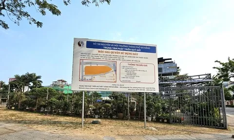 Đà Nẵng đấu giá khu đất "kim cương" với giá khởi điểm hơn 616 tỷ đồng