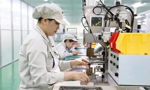 Kiến nghị bãi bỏ 16 ngành, nghề kinh doanh có điều kiện