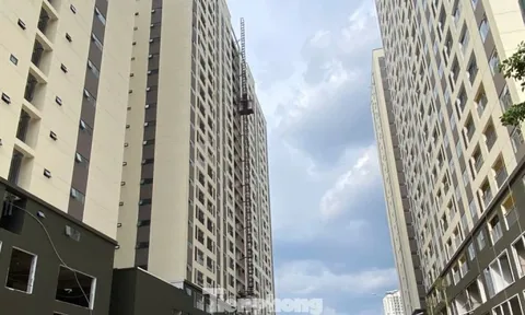 TPHCM: Thêm 22 dự án với quy mô 20.000 căn nhà ở xã hội