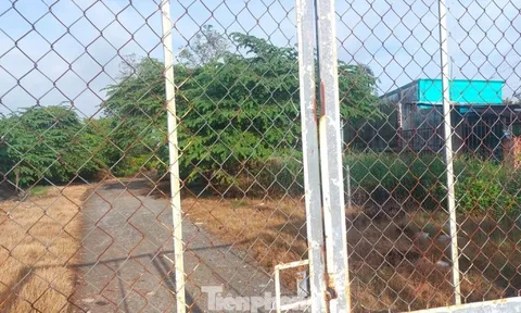 Dự án nhà ở bỏ hoang 17 năm trên 'đất vàng' TPHCM chính thức bị thu hồi