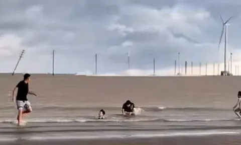 Loạt cột điện gió trên biển Vĩnh Long gãy đổ