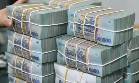 Thanh tra NHNN cảnh báo rủi ro một số khoản vay tại ngân hàng chi nhánh Đà Nẵng