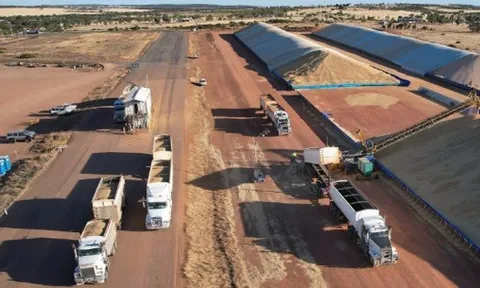 Mỹ, Canada đua nhau gửi một loại ‘báu vật’ vào Việt Nam với giá siêu rẻ: Thuế nhập khẩu 0%, nước ta tiêu thụ top đầu thế giới