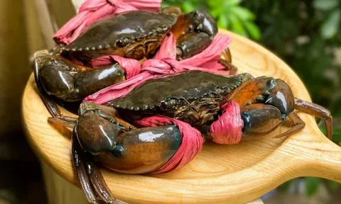 Mặt hàng Việt Nam lập đỉnh 10 năm, thị trưởng tỷ dân mua mạnh: Cơ hội vàng vươn mình trên bản đồ thế giới