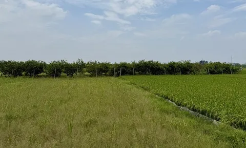 Hà Nội tiếp tục mời đăng ký thực hiện dự án nhà ở thương mại thông qua thỏa thuận về nhận quyền sử dụng đất