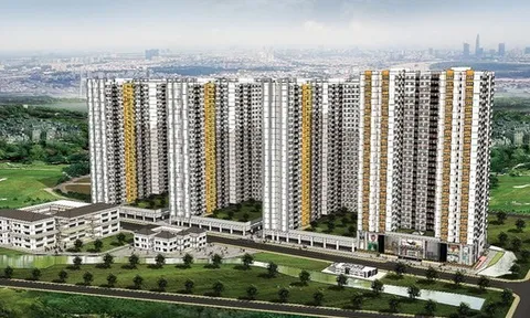 Năm Bảy Bảy chuyển nhượng công ty khai thác đá tại Quảng Ngãi