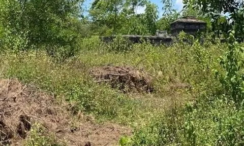 Dự án bãi đậu xe san phẳng mộ vợ vua Tự Đức: Cho chuyển mục đích sử dụng đất