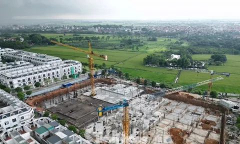 Hà Nội mở bán nhà ở xã hội ngoại thành giá hơn 20 triệu đồng/m2