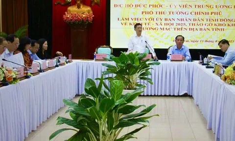 Đồng Nai kiến nghị Trung ương hỗ trợ ngân sách cho dự án cầu thay phà Cát Lái