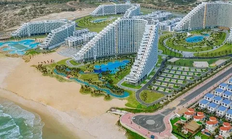 Hệ sinh thái đa ngành của nữ doanh nhân Hà Thị Phương Thảo